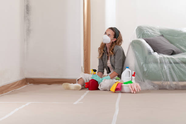 Reliable Black Mold Removal contractor in Sanford, FL by WQB Mold Removal